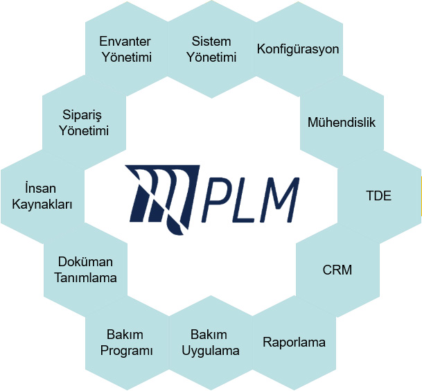 M-PLM