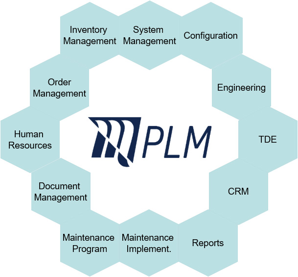 M-PLM